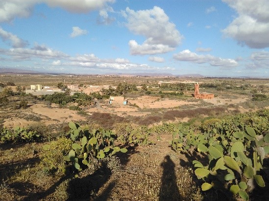 Clémentine, Service Civique International au Maroc