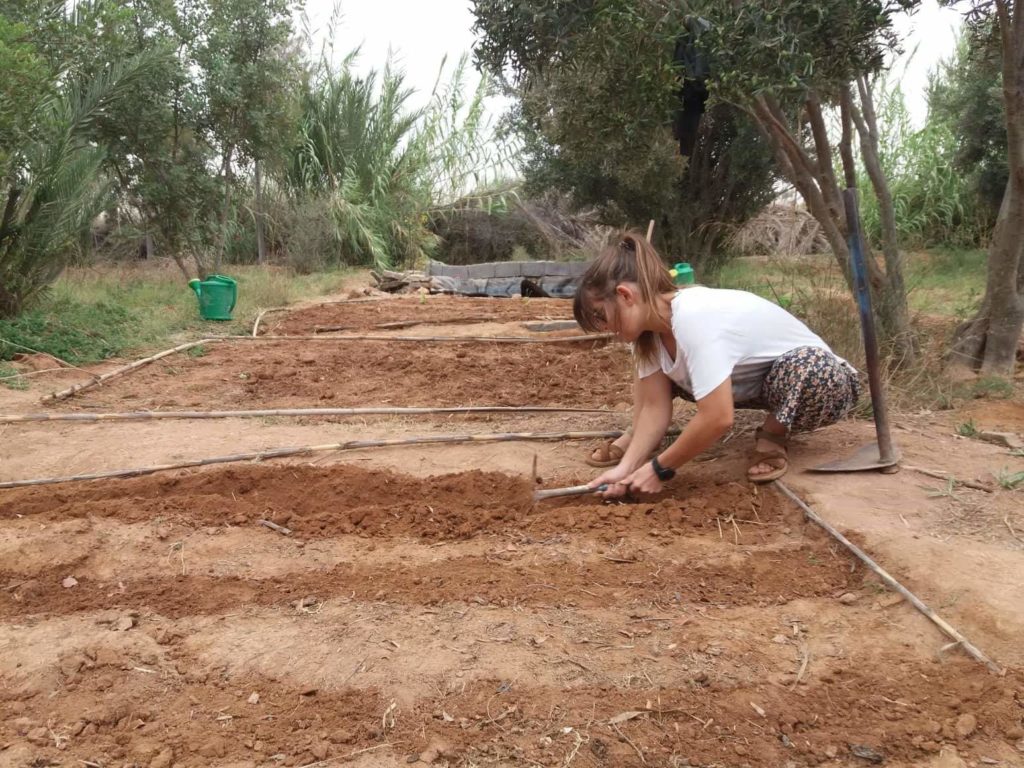 Alice, en Service Civique au Maroc