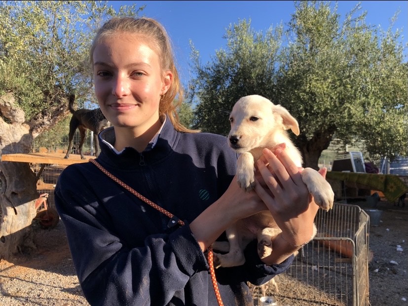Emma et Clara, en Corps européen de Solidarité en Grèce