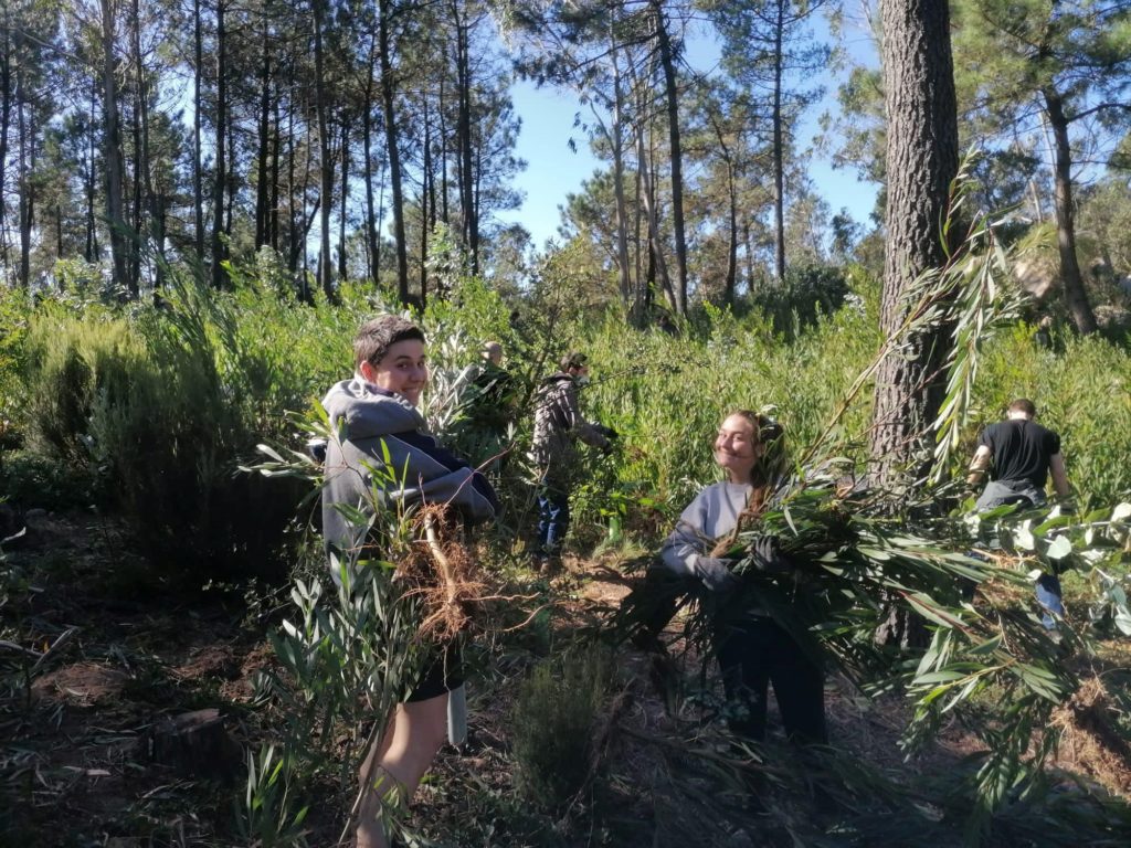 Léna, Corps Européen de Solidarité de 2 mois, au Portugal dans le domaine du développement durable