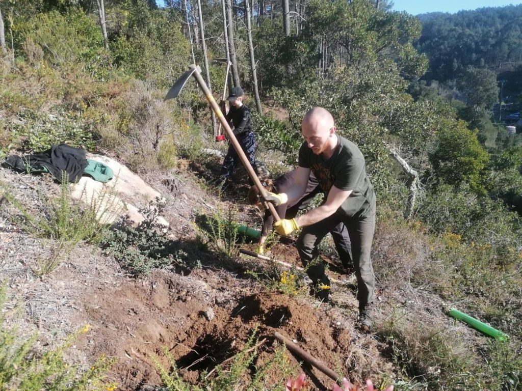 Jules, volontaire européen dans une association environnementale portugaise pendant 3 mois.