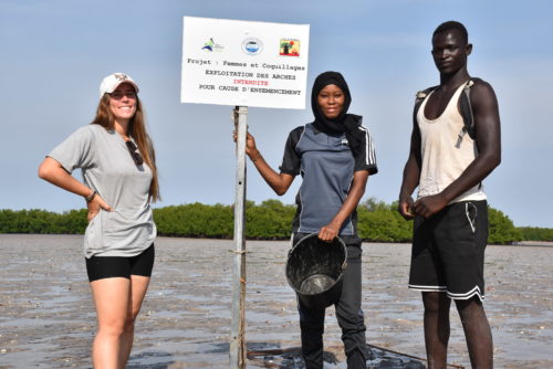 Travail de volontariat au Sénégal
